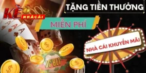 Thông tin về sân chơi Dom88