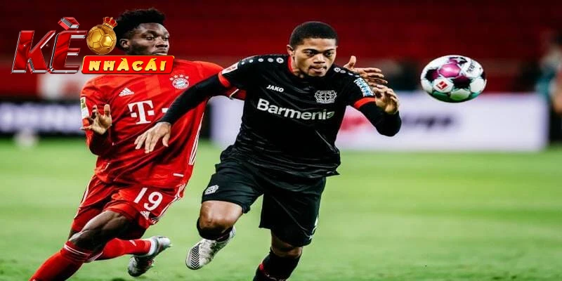 Các kèo cược tỷ lệ kèo Bundesliga